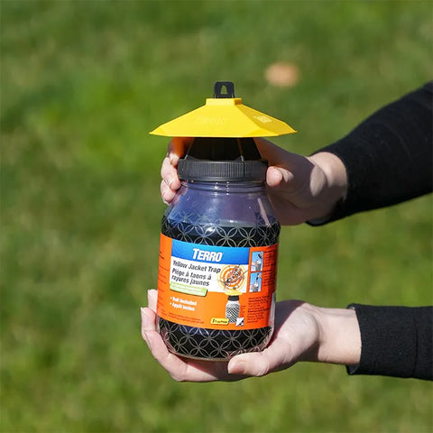 TERRO® Yellow Jacket Trap