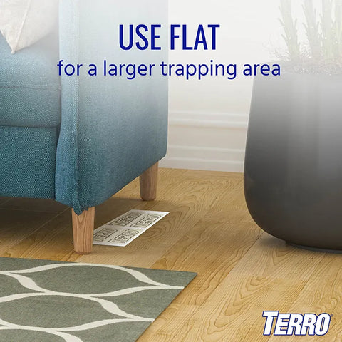 TERRO® Spider & Insect Trap 10-Pack