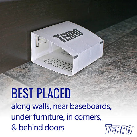 TERRO® Spider & Insect Trap