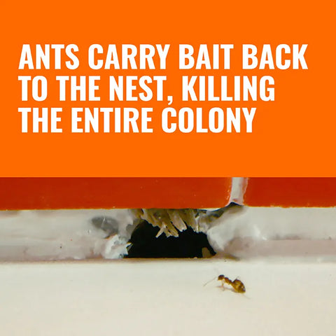 TERRO® Liquid Ant Baits