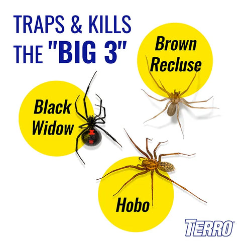TERRO® Spider & Insect Trap 10-Pack