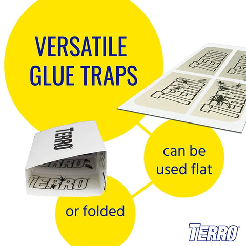 TERRO® Spider & Insect Trap