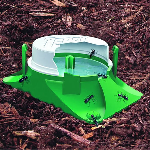 TERRO® Outdoor Liquid Ant Baits