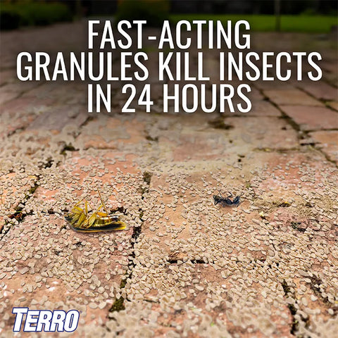 TERRO® Ant Killer Plus