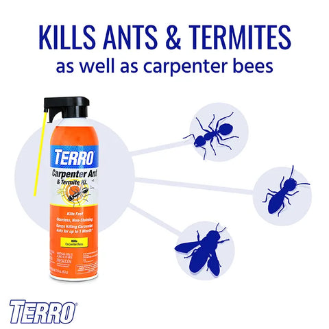 TERRO® Carpenter Ant & Termite Killer Aerosol