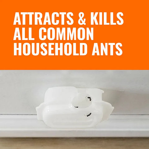 TERRO® Multi-Surface Liquid Ant Baits