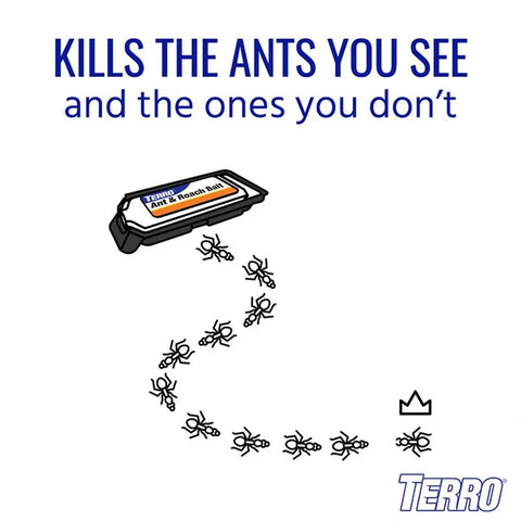 TERRO® Ant & Roach Baits
